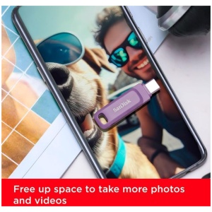 SanDisk USB 256GB Ultra Dual Drive Go USB Type-C 400MB/s sivka violičen