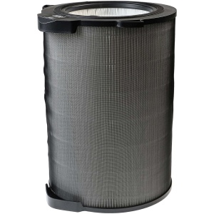 <br><p>Nadomestni HEPA protialergijski filter za sesalnike AEG. Dimenzije: 36 cm (višina), 28 cm (zunanji premer), 16,5 cm (notranji premer)</p><p><b>Vsebina kompleta:</b></p><ul><li>1 x HEPA filter</li></ul><br><p><b>Originalne oznake:</b></p><ul><li>9009233041</li><li>AFDCAR6</li></ul><br><p><b>Primerno za:</b></p>AEG:<br><ul><li>AX91 600 CADR,&nbsp;AX91-604DG,&nbsp;AX91-604GY</li></ul><br><b>Lastnosti:</b><ul><li>Proizvajalec: VHBW</li><li>Barva: bela/vijolična</li></ul><br>