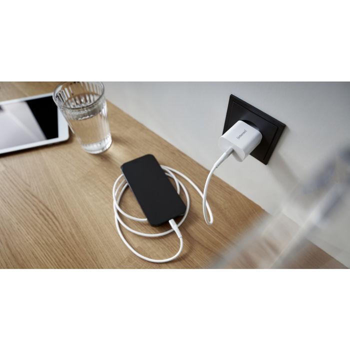 Intenso 20W napajalnik s priključkom USB-C W20C - slika 3