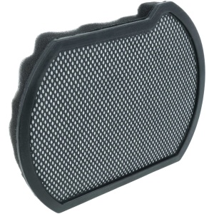 <br><p>Penasti filter za sesalnike Bosch i Siemens.</p><p><b>Vsebina kompleta:</b></p><ul><li>1 x penasti filter (17 x 13.8 x 2.9 cm)</li></ul><br><p><b>Originalne oznake:</b></p><ul><li><li>12027209</li></li></ul><br><br><p><b>Primerno za:</b></p><p >Bosch:&nbsp;<br></p><ul><li>&nbsp;BGC41LSIL,&nbsp; BGC41PET,&nbsp; BGC41PET2,&nbsp; BGC41PET2/01,&nbsp; BGC41Q69,&nbsp; BGC41Q69/01,&nbsp; BGC41Q69/02,&nbsp; BGC41Q69/03,&nbsp; BGC41Q69/04,&nbsp; BGC41Q69/05,&nbsp; BGC41X36,&nbsp; BGC41XALL,&nbsp; BGC41XFMLY,&nbsp; BGC41XHYG,&nbsp; BGC41XSIL,&nbsp; BGS41FAM,&nbsp; BGS41FAM/01,&nbsp; BGS41FAM/02,&nbsp; BGS41FAM/03,&nbsp; BGS41FAM/04,&nbsp; BGS41HYG1,&nbsp; BGS41K332,&nbsp; BGS41K332/01,&nbsp; BGS41K332/02,&nbsp; BGS41K332/04,&nbsp; BGS41K432,&nbsp; BGS41K432/01,&nbsp; BGS41MPOW,&nbsp; BGS41MPOW/01,&nbsp; BGS41MPOW/02,&nbsp; BGS41MPOW/04,&nbsp; BGS41PET1,&nbsp; BGS41PET1/01,&nbsp; BGS41PET1/04,&nbsp; BGS41PETAU,&nbsp; BGS41POW1,&nbsp; BGS41POW1/02,&nbsp; BGS41POW1/04,&nbsp; BGS41POW2,&nbsp; BGS41POW3,&nbsp; BGS41POW3/04,&nbsp; BGS41PRO,&nbsp; BGS41PRO/01,&nbsp; BGS41PRO/02,&nbsp; BGS41SIL66,&nbsp; BGS41SIL66/01,&nbsp; BGS41SIL66/02,&nbsp; BGS41SIL66/04,&nbsp; BGS41X300,&nbsp; BGS41X300/01,&nbsp; BGS41ZOORU,&nbsp; BGS41ZOORU/01,&nbsp; BGS412000,&nbsp; BGS412000/01,&nbsp; BGS412234,&nbsp; BGS412234/01,&nbsp; BGS412234A,&nbsp; BGS412234A/01</li></ul><br>Siemens:<br><ul><li>&nbsp;BGS41K332,&nbsp; BGS41PRO,&nbsp; VSX41A300,&nbsp; VSX41A300/01,&nbsp; VSX41A322,&nbsp; VSX41A322/01,&nbsp; VSX41XTRM,&nbsp; VSX41XTRM/01,&nbsp; VSX41XTRM/02</li></ul><br><br><br><b>Lastnosti:</b><ul><li>Proizvajalec: VHBW</li></ul><br>