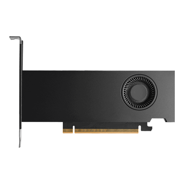 Grafična kartica PNY Nvidia RTX PRO 2000 Blackwell 16GB GDDR7 PCI-E 5.0 - slika 3
